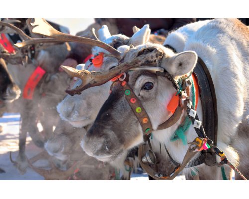 one way business class flights